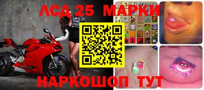 гашик Новозыбков