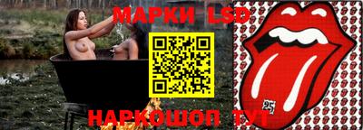 гашик Новозыбков
