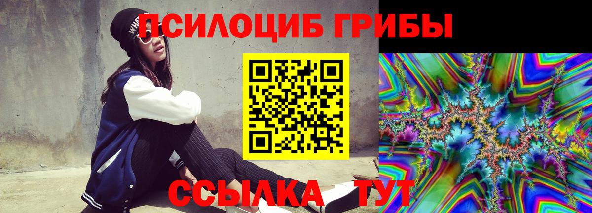 Псилоцибиновые грибы прущие грибы Солнечногорск