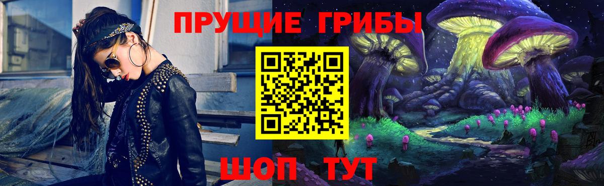 Солнечногорск  Псилоцибиновые грибы GOLDEN TEACHER  Вход с VPN 